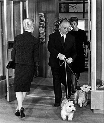 Scene from The Birds with Alfred Hitchcock & Sealys